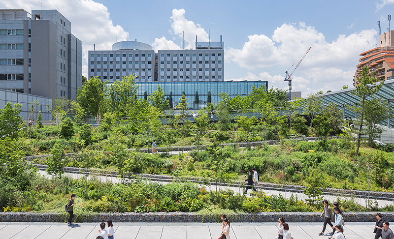早稲田大学37号館 早稲田アリーナ | BCS賞 | 日本建設業連合会