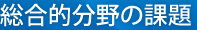 総合的分野の課題